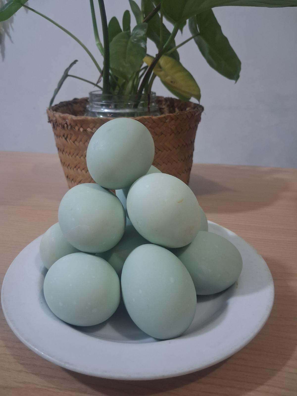 Telor Asin