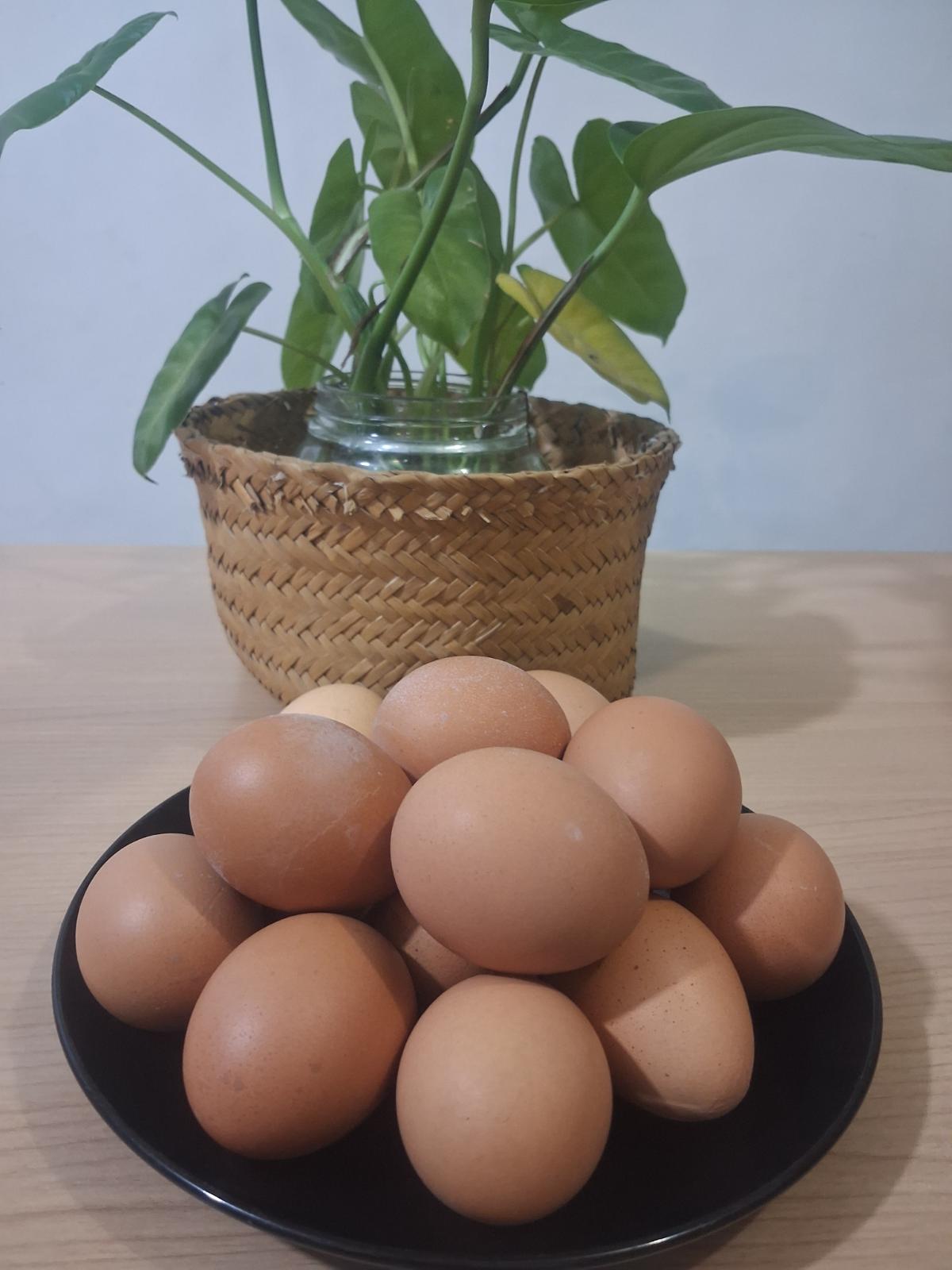 Telur Ayam Rebus